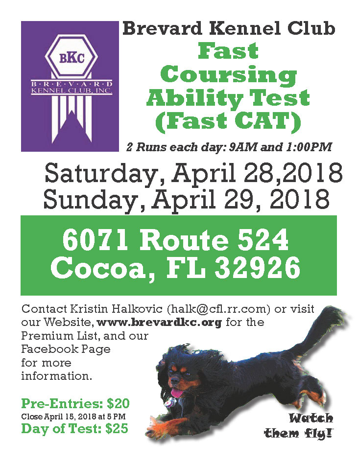Fast CAT Flyer April 2018